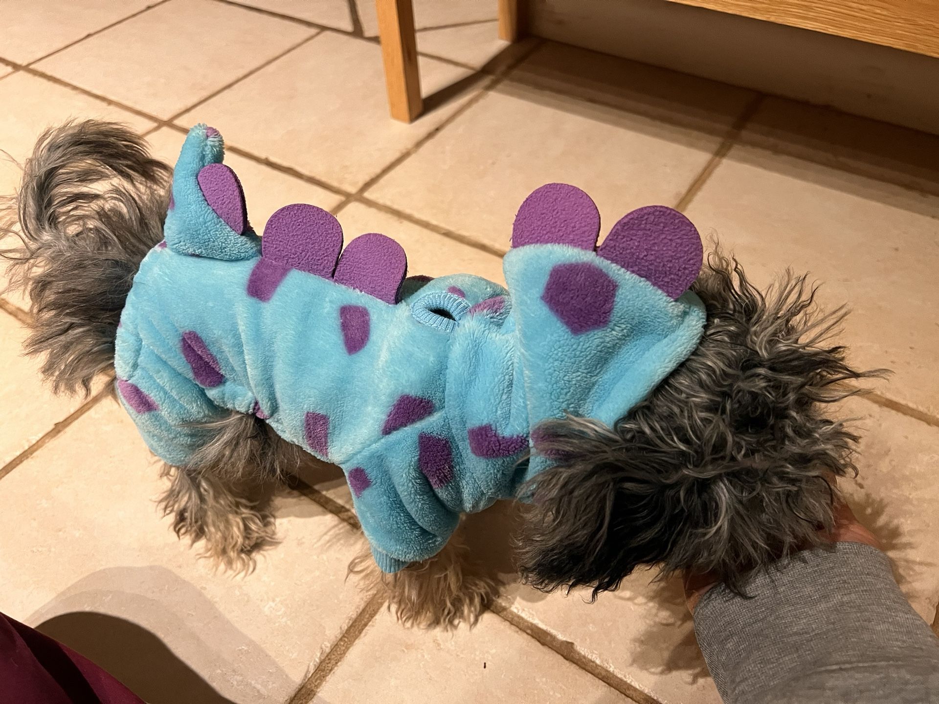 Dog Outfit/ Onesie- XS