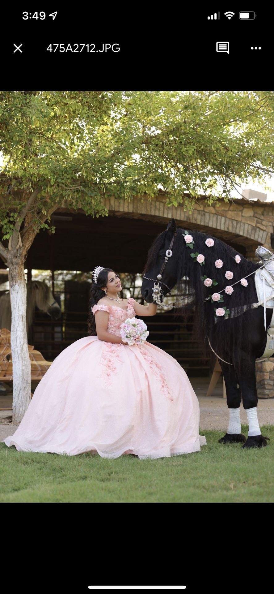 Rental Quinceañera Dress