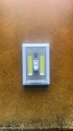 Switch light