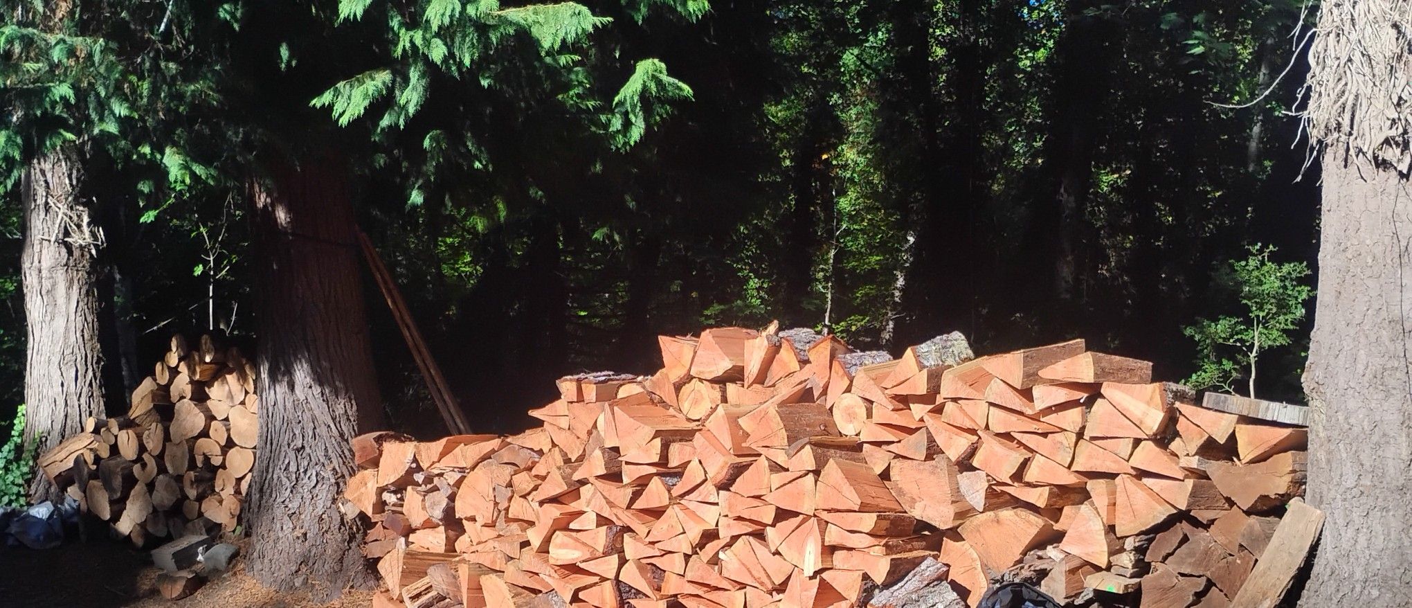 DOUG FIR 2 YR SEASONED