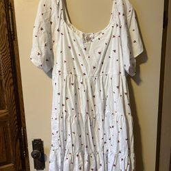 Strawberry Dress Size 2x