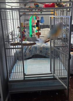 Large parrot cage