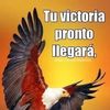 Maynor