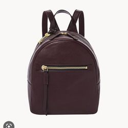 Fossil Leather Backpack