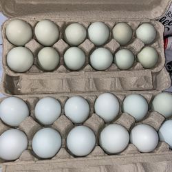 Organic Eggs