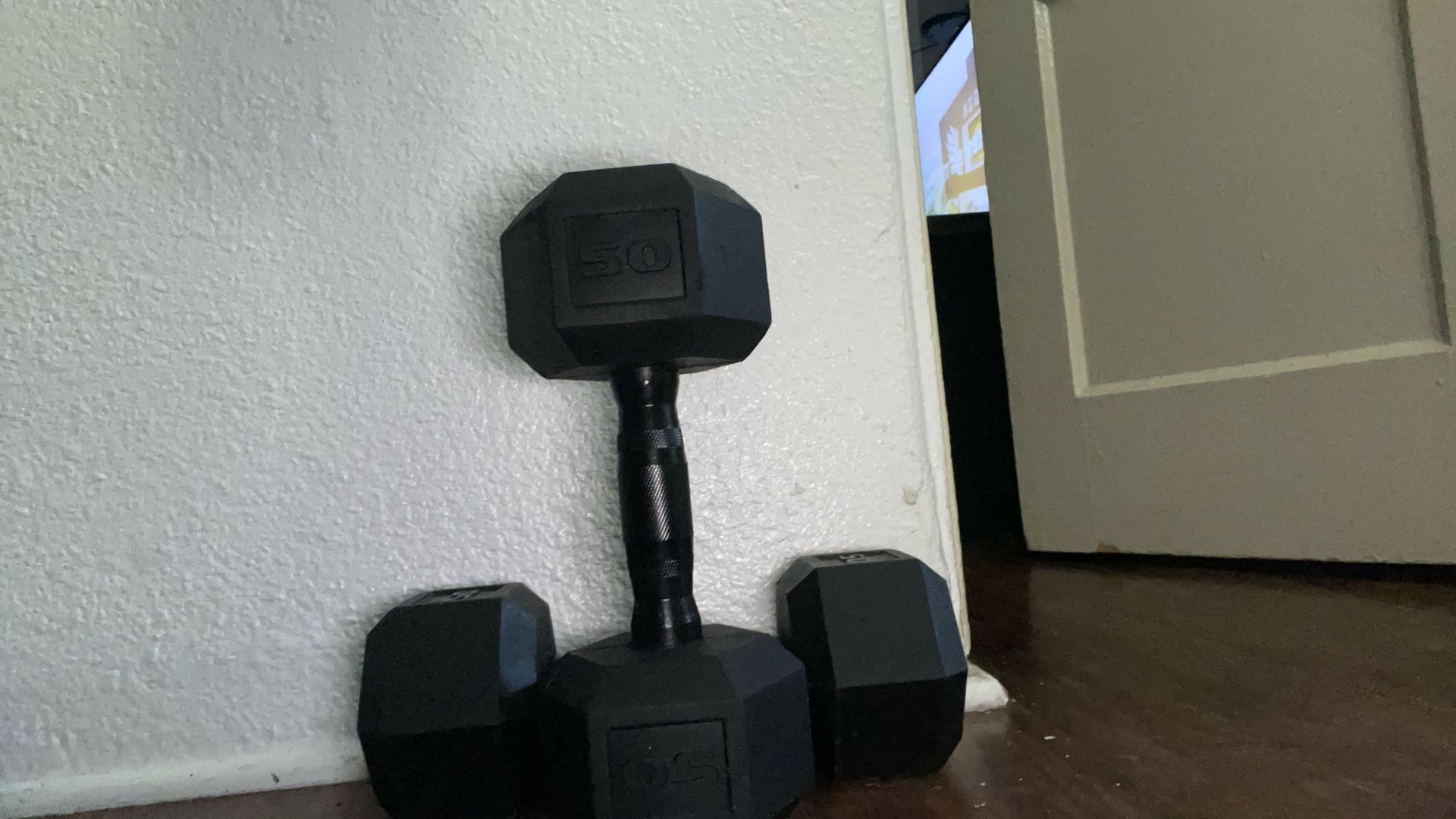 20 (TWENTY) lbs. Dumbbells Pair