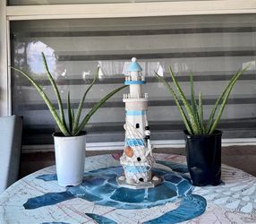 ORGANIC ALOE PLANT 15”H  $3 EACH