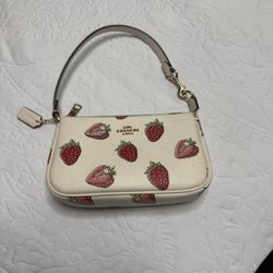 Coach  Purse New