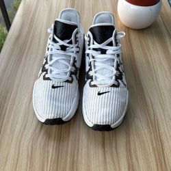 LeBron Shoes 