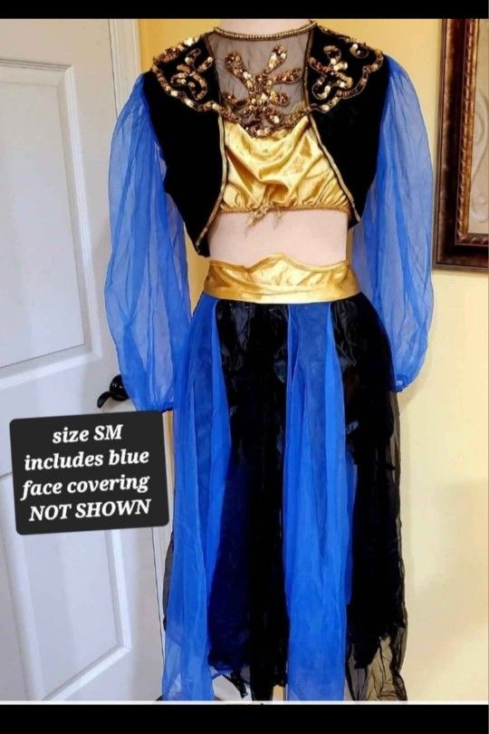 💙GENIE COSTUME SZ SMALL COMES W/ SHEER FACE COVERING NOT SHOWN