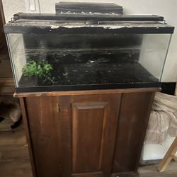 20 Gallon Fish tank And Stand 
