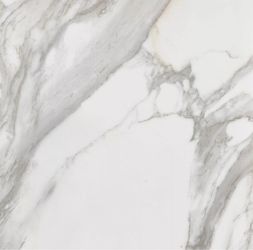 Porcelain tile
