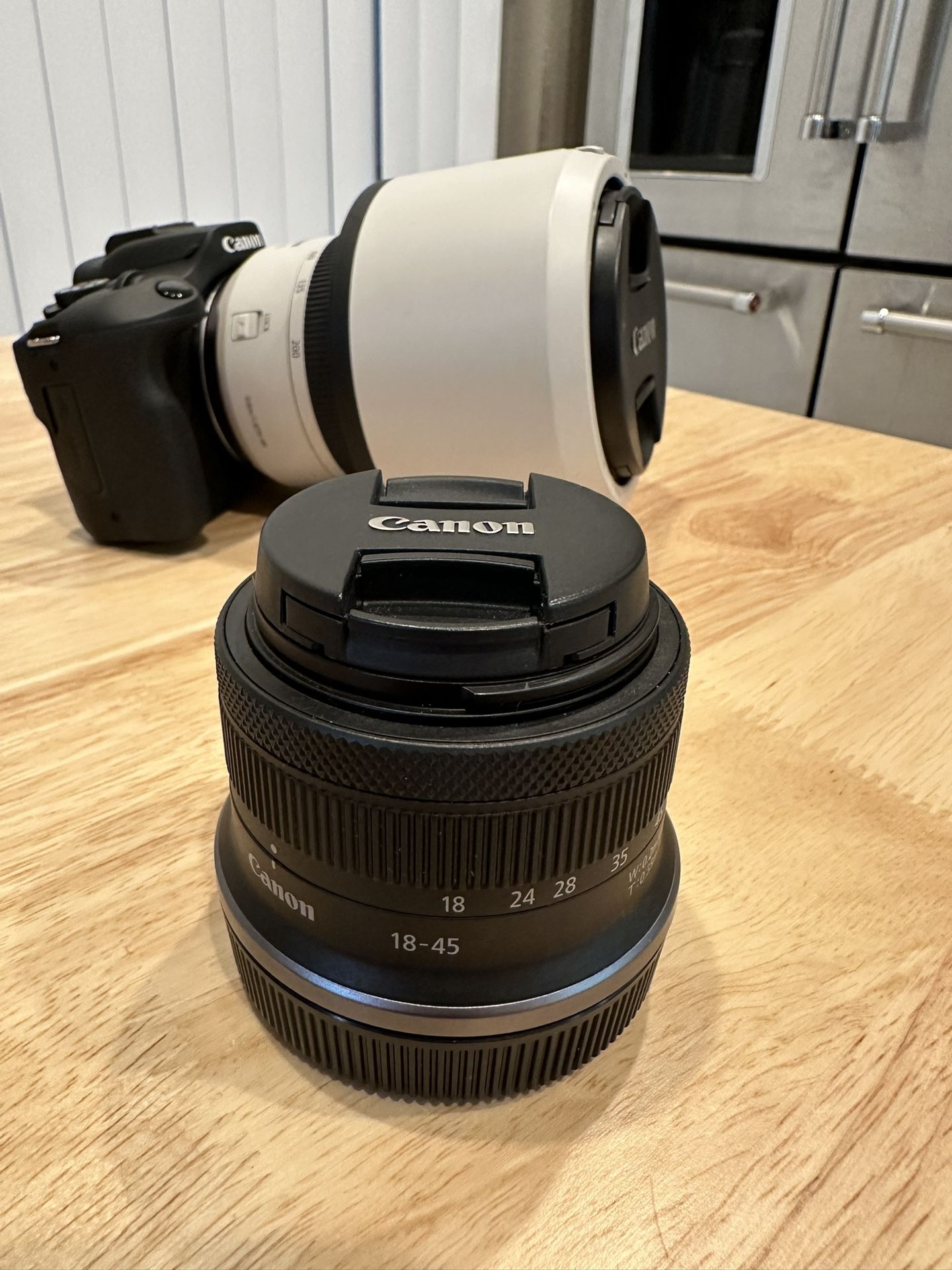 Cannon EOS R100 