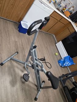 Sunny Health & Fitness Squat Assist Row-N-Ride Trainer