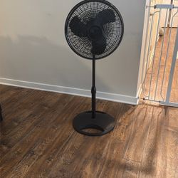 fan