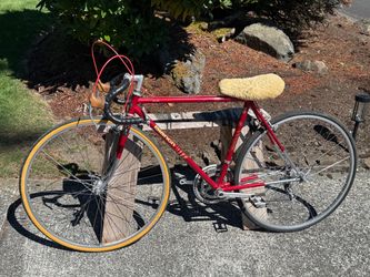 Bianchi Special 12 speed Bike