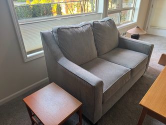 Lightly Used small couch
