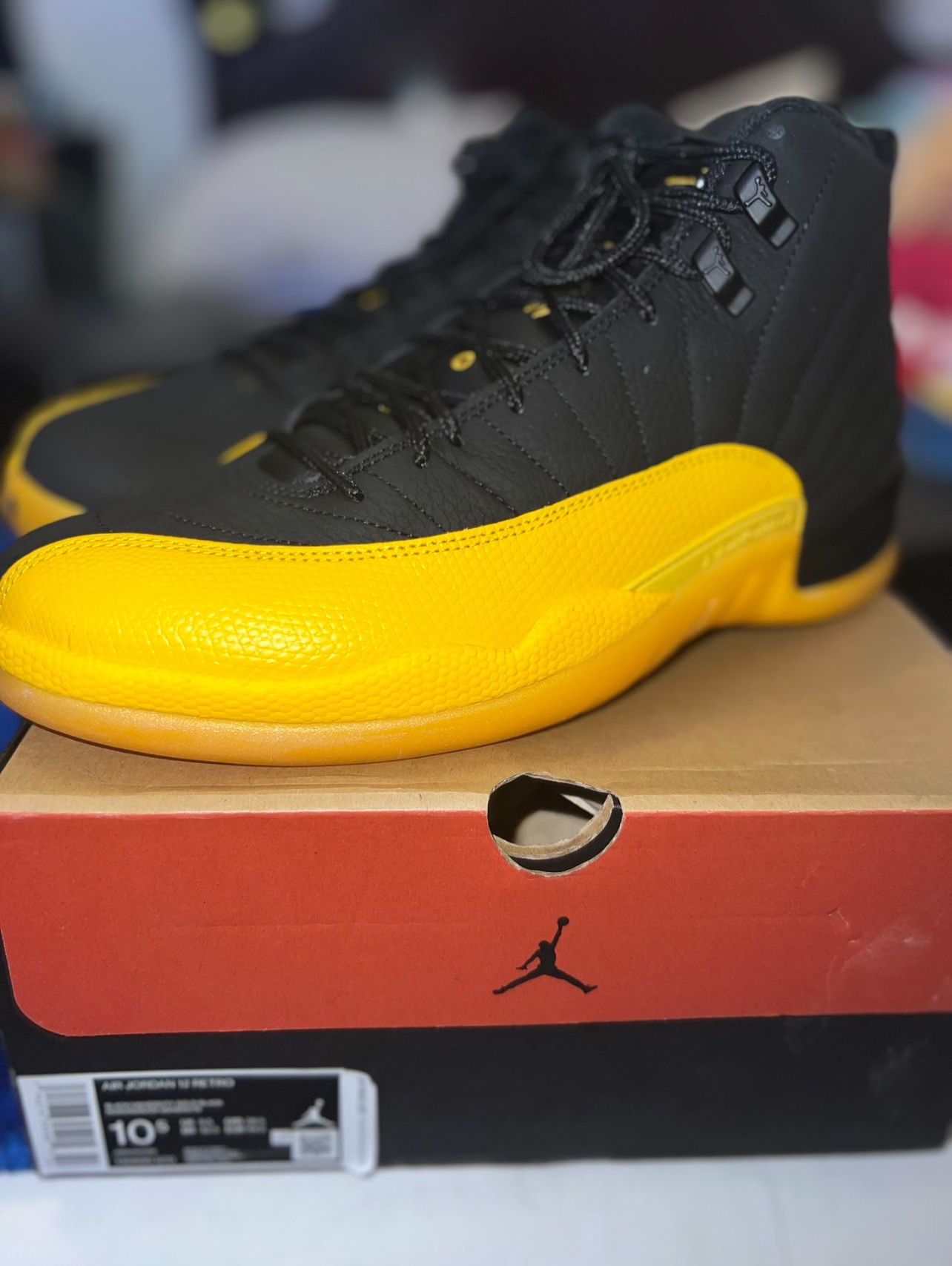 Jordan 12 New