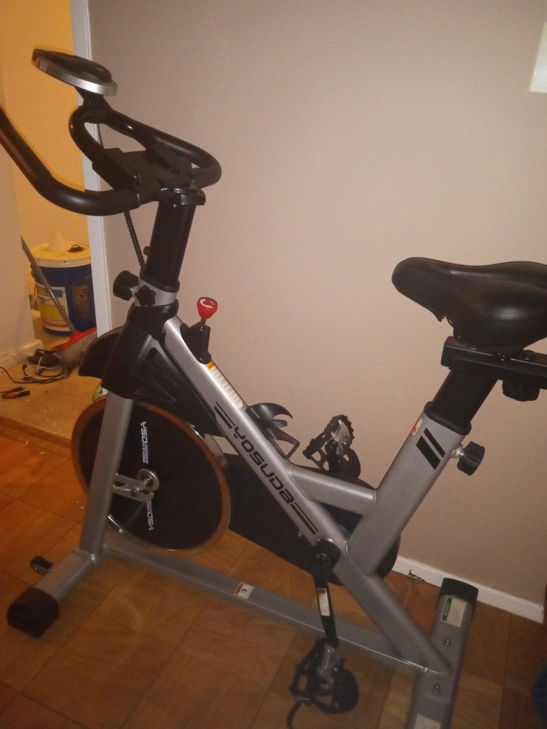 A Slender Beauty. Exercise Bike