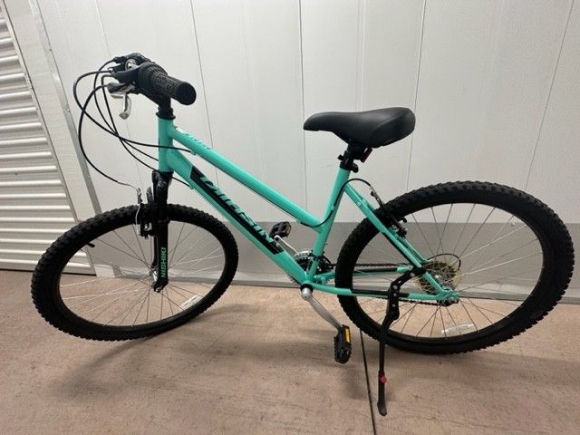 Nishiki Bike