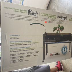 Self Watering System