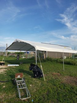 Carpa