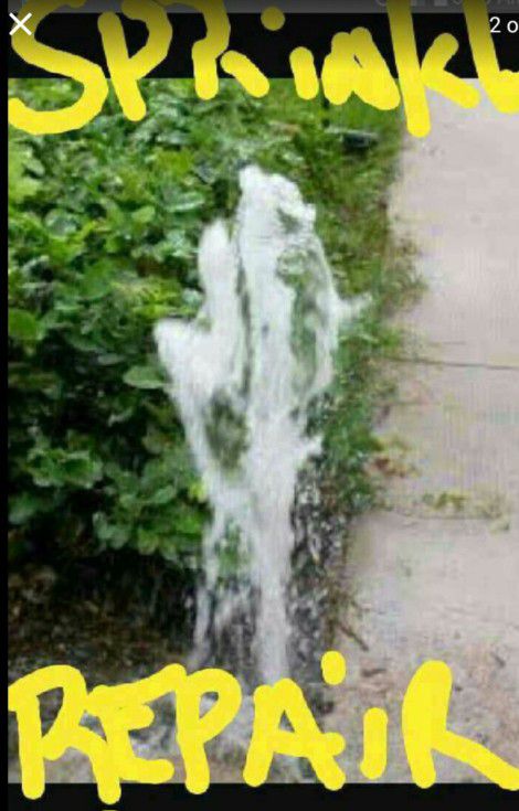 Lawn Sprinklers, Drip Irrigation 