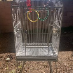 Bird Cage