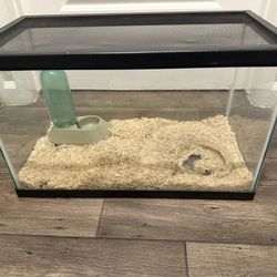 10 Gallon Tank 