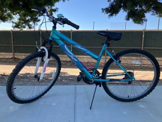 Rallye Incline Comfort Bike - Step-Through Frame
