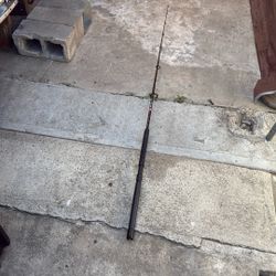 Penn Rampage Rod 