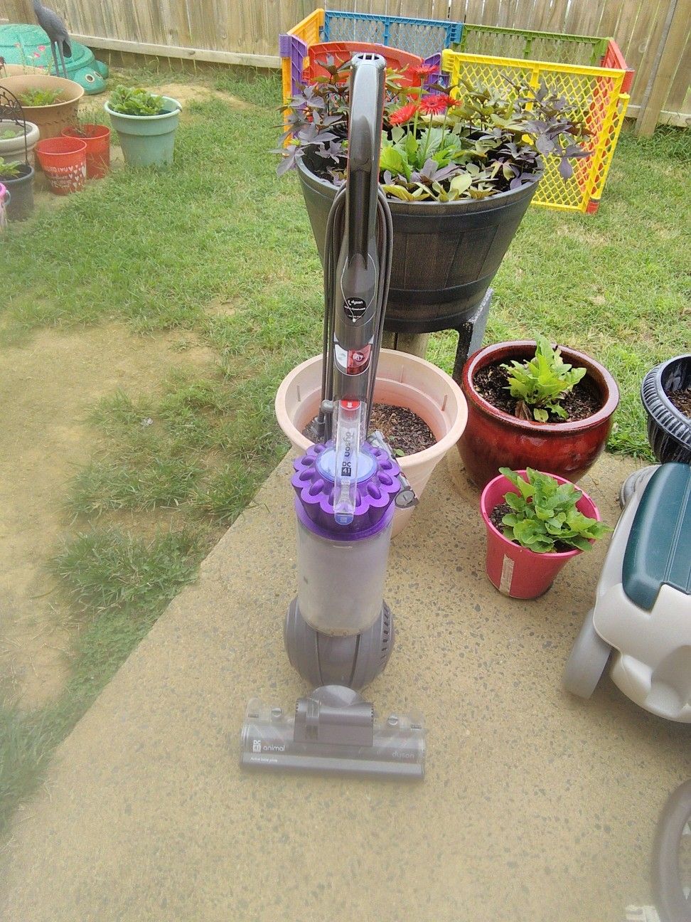 Dyson ball animal vacuum