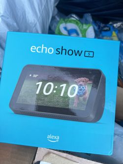 Ring Doorbell and Echo Show 5 