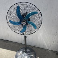Fan 