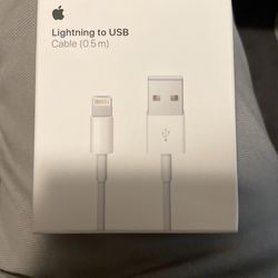 Lighting Usb Cable (.05m) $10