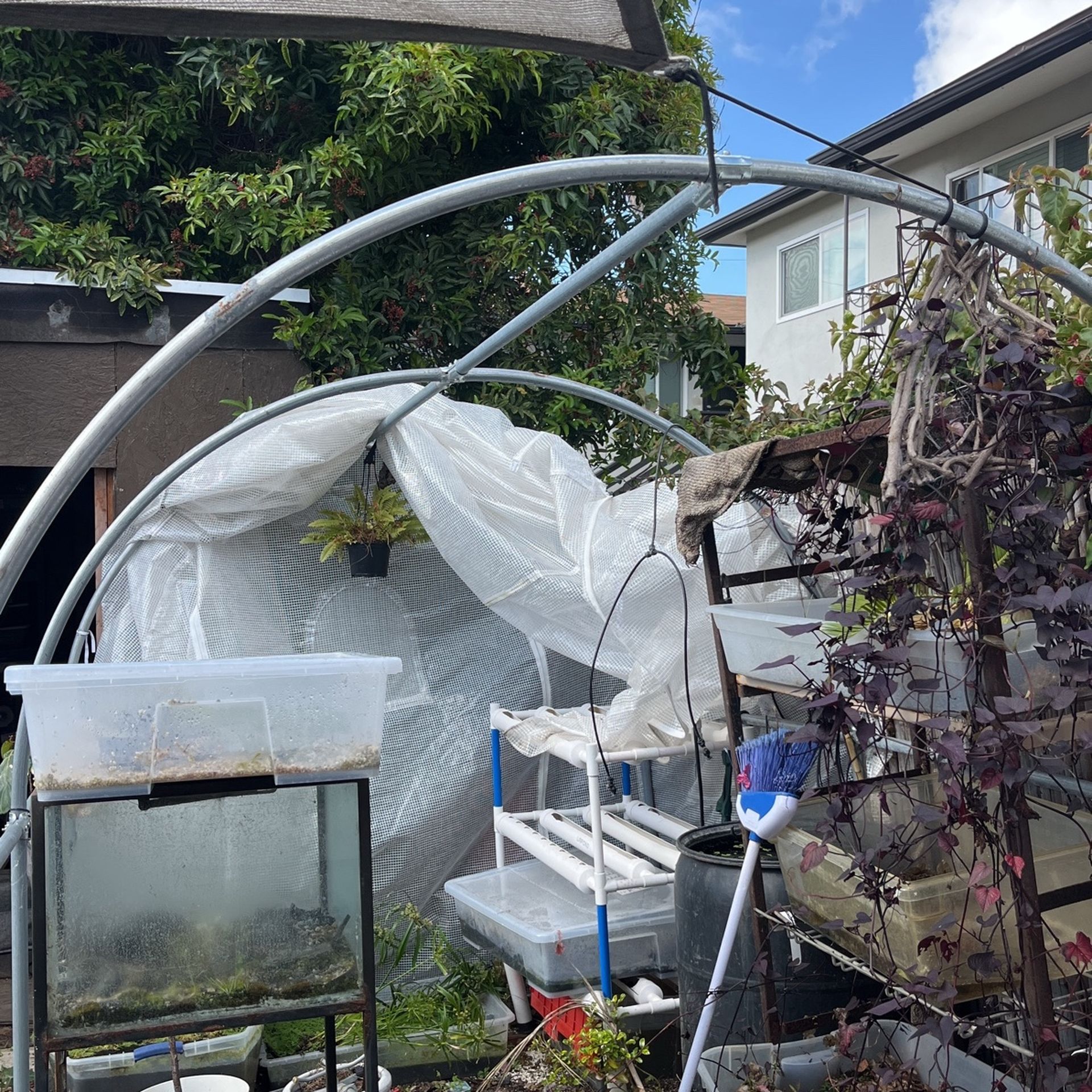 Green House And Hydroponic System For 200$