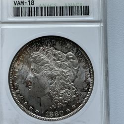 1880 S Silver Morgan Dollar VAM-18 MS 63