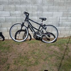 Adult Bike /Bicicleta Para Adultos