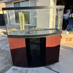 Used 200+ Gal Fish Tank