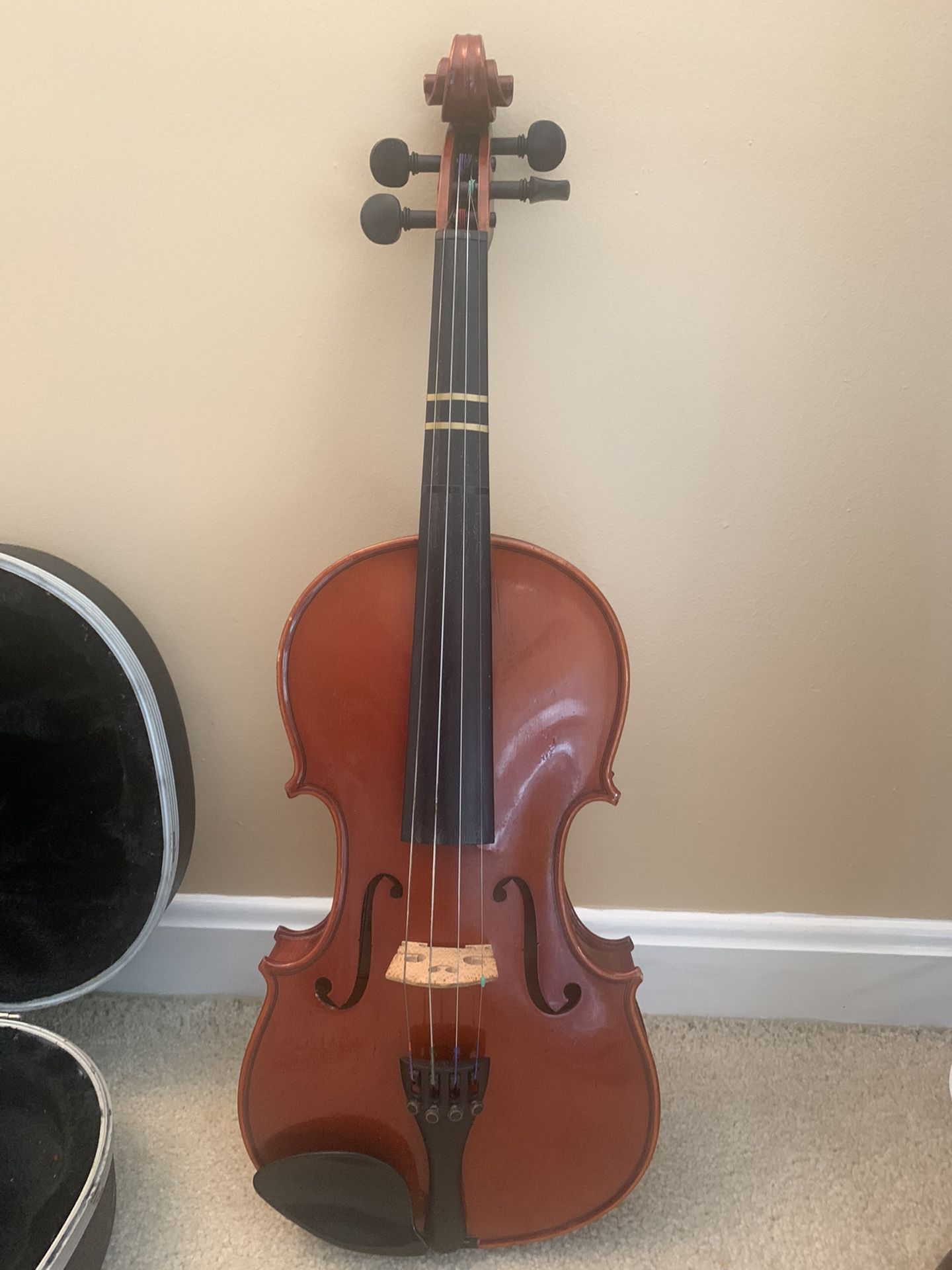 Violin, Adult Size 
