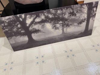 Wall Picture Frame