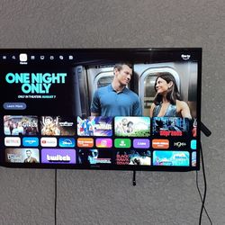 42 In Tv And Mount