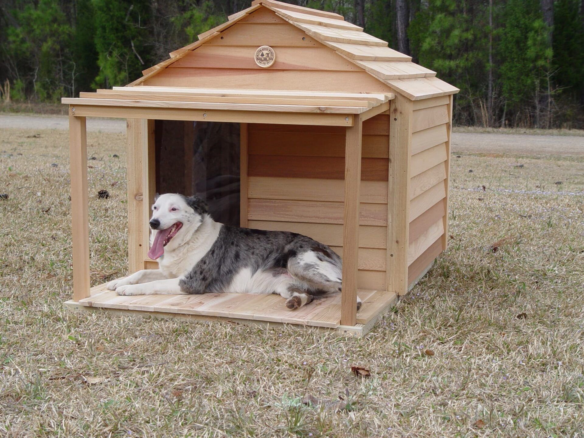 Large Dog House, Needs A Good Home