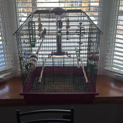 Pet Bird With Cage