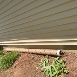 Free Cardboard Roll