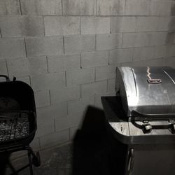 charcoall and propane grill 
