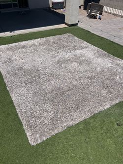Rug brand new 8’x10’