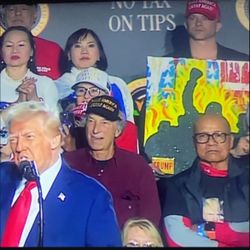 TRUMP PAINTING