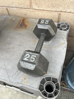 25 Lbs Dumbbell