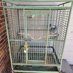 Sturdy Bird Cage